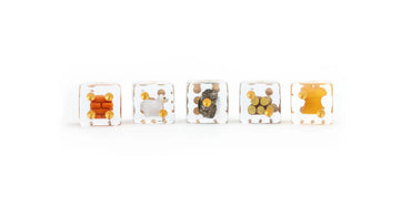 CATAN: Inclusion Dice Set