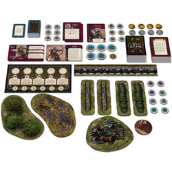 A Song of Ice & Fire: Targaryen Starter Set